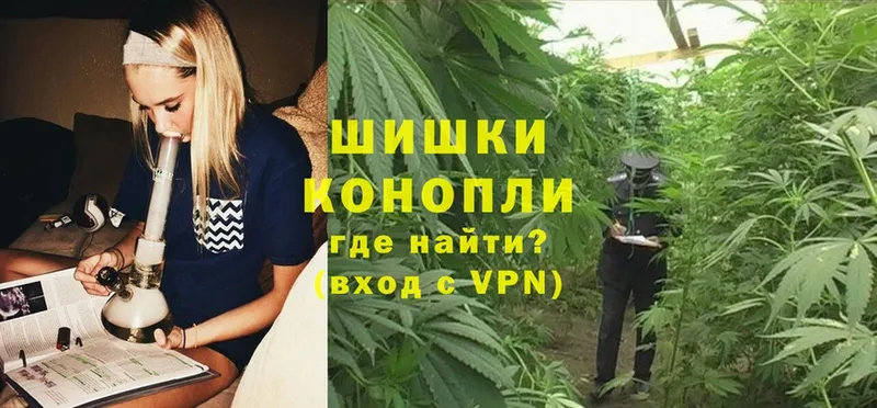 МАРИХУАНА SATIVA & INDICA  Белокуриха 